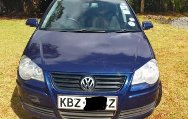 Volkswagen Polo 2009 Foreign Used
