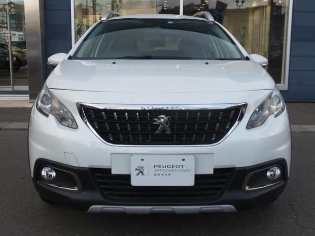 Peugeot 2008 Cross City 2018 (Foreign Used) full